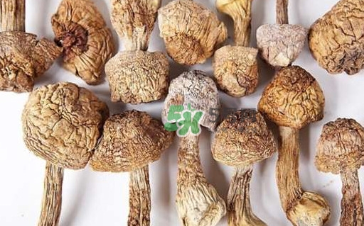 干松茸要泡多久？干松茸用冷水泡還是溫水泡好