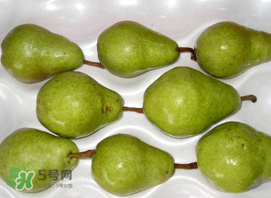 葫蘆梨怎么軟的快？葫蘆梨幾月份成熟？