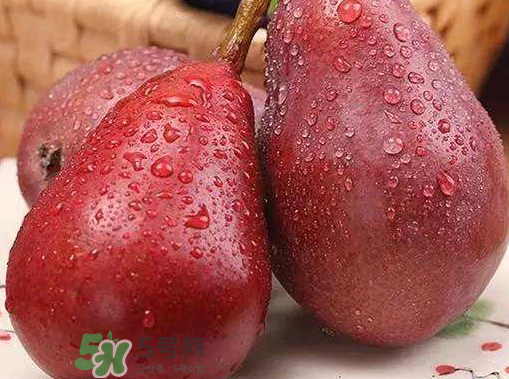 紅啤梨什么時候成熟？紅啤梨產(chǎn)地在哪？