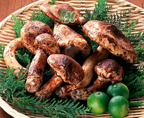 新鮮松茸怎么清洗？新鮮松茸怎么處理