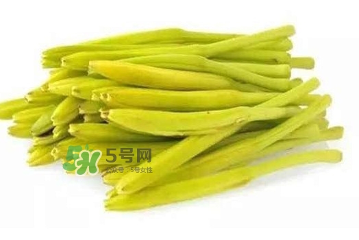 黃花菜是忘憂草嗎？黃花菜是不是金針菜