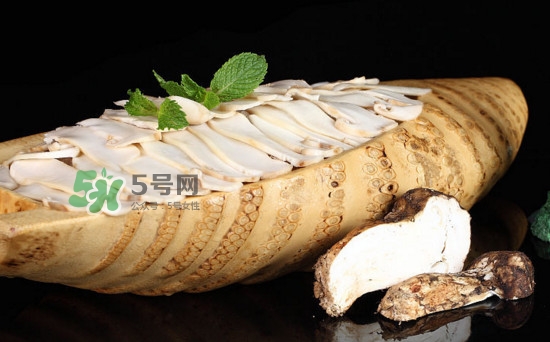 松茸可以人工種植嗎？松茸能人工種植嗎