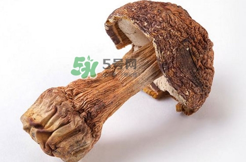 產(chǎn)婦能吃松茸嗎？哺乳期可以吃松茸嗎