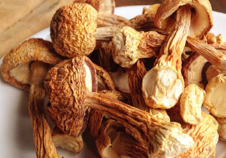 干松茸怎么清洗？干松茸如何辨別真?zhèn)?><p><strong>干松茸怎么清洗？干松茸如何辨別真?zhèn)?/strong></p></a></li> <li><a href=