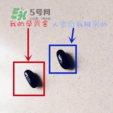 blackmores澳佳寶真假辨別_blackmores澳佳寶真?zhèn)尾樵? alt=