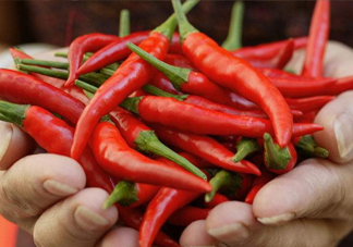 菜市場什么辣椒最辣？辣椒最辣的部分