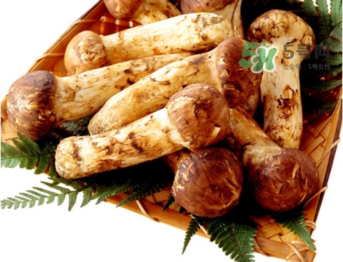 新鮮松茸怎么挑選？干松茸如何挑選