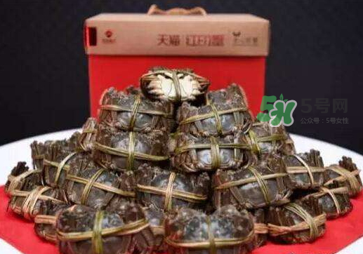 紅印蟹是什么_紅印蟹哪里買(mǎi)_紅印蟹什么時(shí)候上市 紅印蟹是什么_紅印蟹哪里買(mǎi)_紅印蟹什么時(shí)候上市