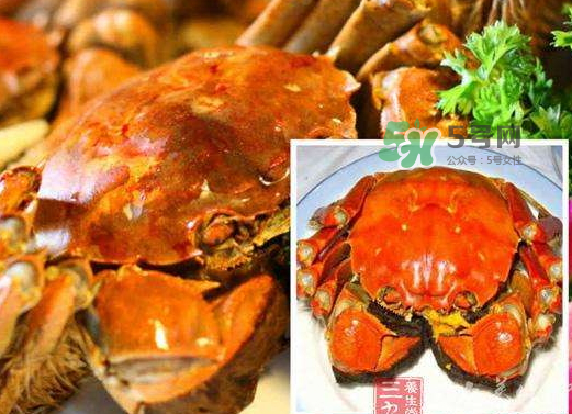 紅印蟹怎么回事？紅印蟹有什么不同？