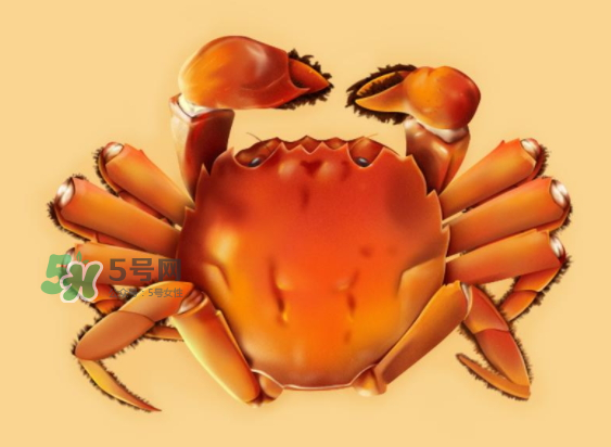 河蟹可以煮嗎？河蟹煮多長(zhǎng)時(shí)間？