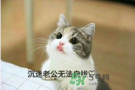 南方老公和東北老公哪個(gè)好？南方老公和東北老公的區(qū)別