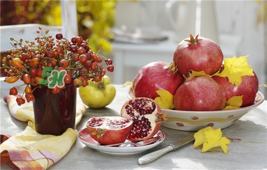 石榴酒怎么做？石榴酒的功效與作用