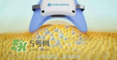 酷塑溶脂效果對(duì)比圖片 酷塑溶脂全過程記錄 酷塑溶脂效果對(duì)比圖片 酷塑溶脂全過程記錄