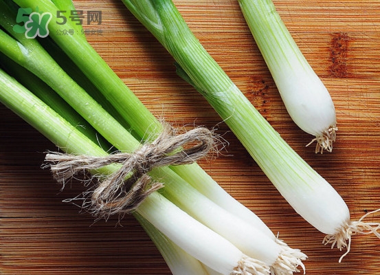 大蔥是怎么種出來的？大蔥是發(fā)物嗎