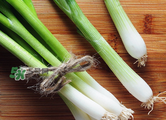 大蔥是蔥黃嗎？大蔥和蔥黃的區(qū)別