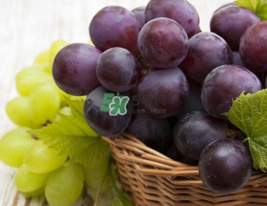 堿性食物和水果有哪些？堿性食物對身體有什么好處