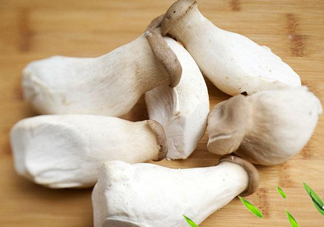 杏鮑菇是發(fā)物嗎？杏鮑菇怎么切好看