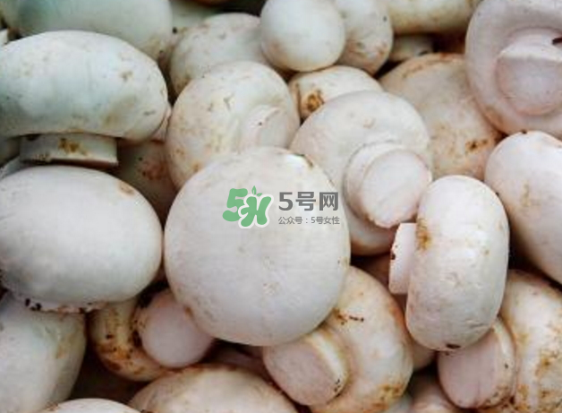 蘑菇變黑了還能吃嗎？蘑菇怎么保存？