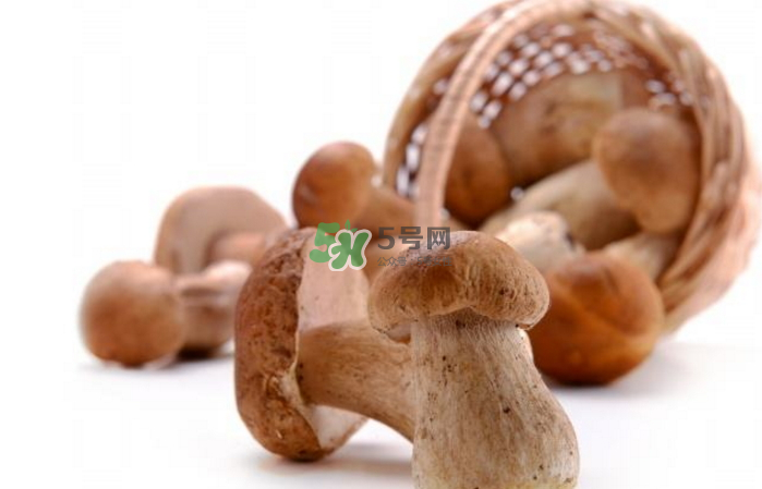 蘑菇能放冰箱嗎？蘑菇能放冰箱多長時間？