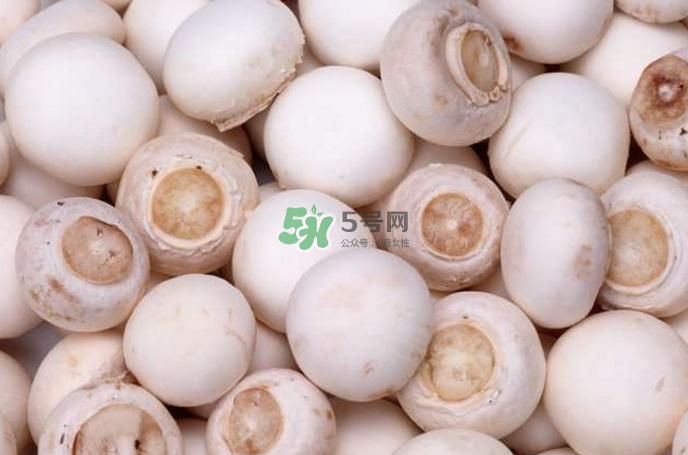 蘑菇能放冰箱嗎？蘑菇能放冰箱多長時間？