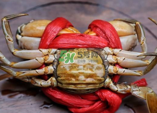 黃油蟹什么季節(jié)吃最好？黃油蟹產(chǎn)地