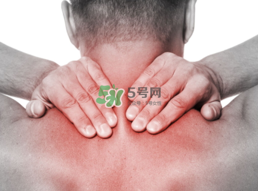 碧緹福護(hù)頸儀多少錢？碧緹福護(hù)頸儀價(jià)格