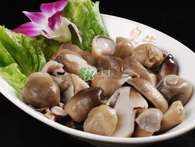 草菇孕婦能吃嗎？草菇要煮多久可以吃？