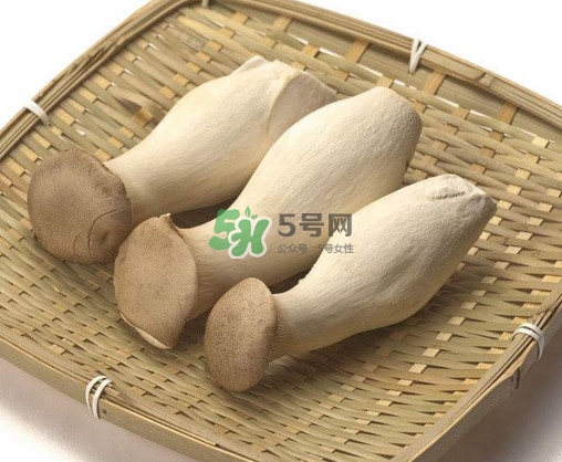 杏鮑菇有什么營(yíng)養(yǎng)價(jià)值？杏鮑菇產(chǎn)地在哪里