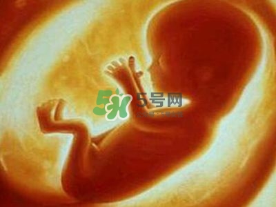 臍帶繞頸是什么原因造成的？臍帶繞頸是多休息還是多運(yùn)動？