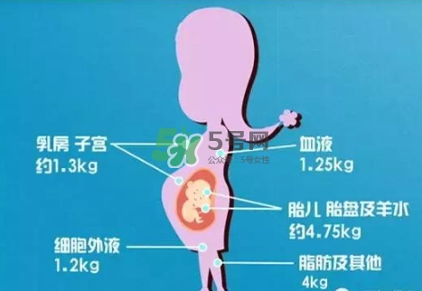 孕期體重增長標準 孕期體重增長過快怎么辦？