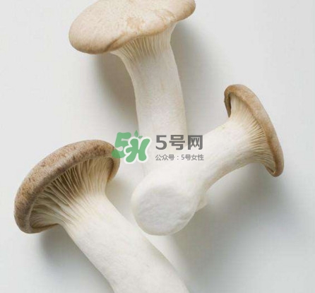 杏鮑菇用水焯嗎？杏鮑菇怎么做好吃