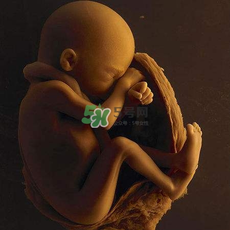 臍帶繞頸是什么意思？臍帶繞頸兩周怎么糾正？