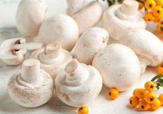 新鮮白蘑菇怎么做好吃？白蘑菇有什么好處