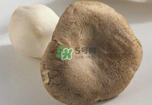 杏鮑菇用水焯嗎？杏鮑菇怎么做好吃