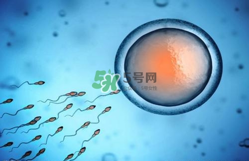 精子在女性體內(nèi)可以存活多久？男性的精子會(huì)枯竭嗎？