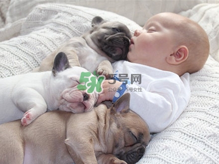 孕婦不能養(yǎng)寵物嗎？為什么孕婦不能養(yǎng)寵物？