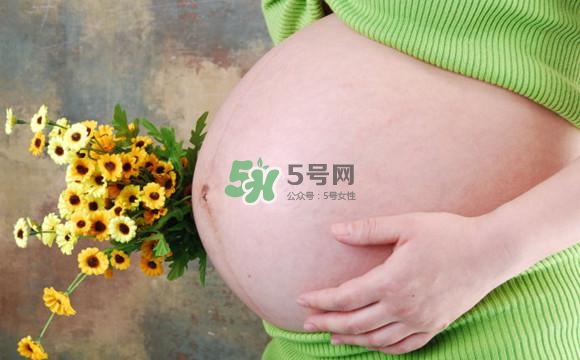 為什么孕婦的肚子有尖有圓？孕婦肚子尖圓對照圖