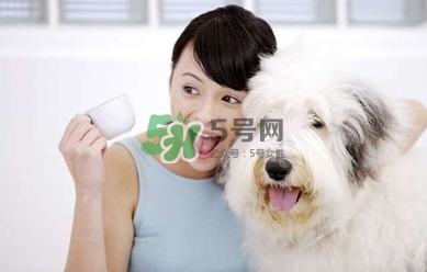 孕婦能養(yǎng)狗嗎？孕婦養(yǎng)狗注意事項