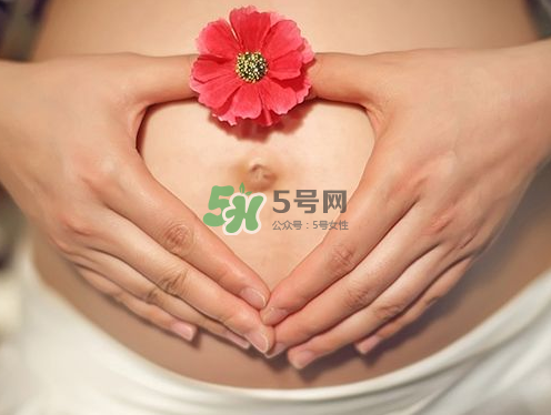 秋天孕婦可以吃絲瓜嗎？秋天孕婦吃絲瓜好嗎？