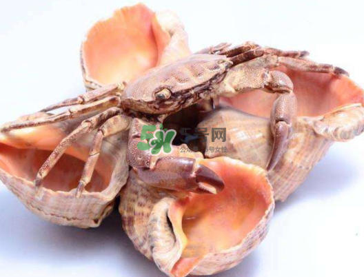 螃蟹殼里的東西是什么？螃蟹殼里什么不能吃？