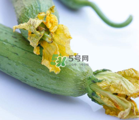 秋天絲瓜有毒嗎？秋天絲瓜能吃嗎？