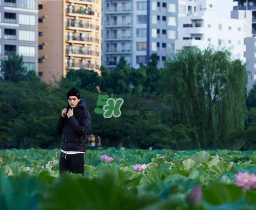 citera2017秋冬系列怎么樣_好看嗎_款式有哪些？