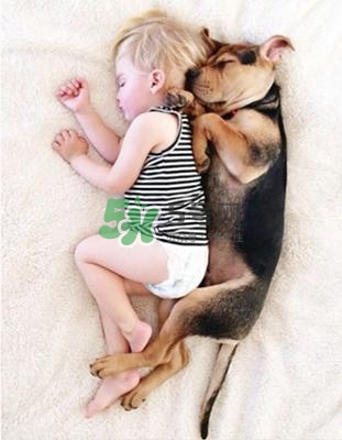 孕婦能養(yǎng)狗嗎？孕婦養(yǎng)狗注意事項