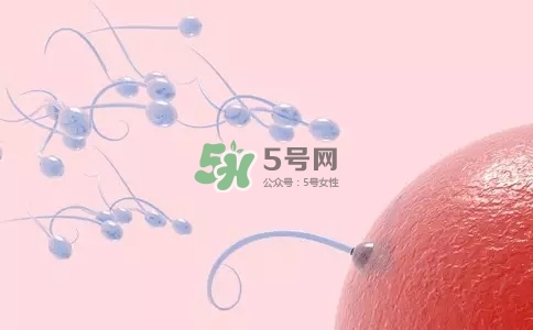 精子在女性體內(nèi)可以存活多久？男性的精子會(huì)枯竭嗎？