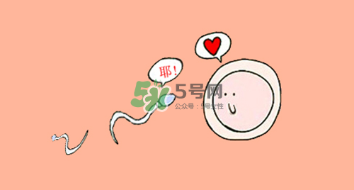 精子在女性體內(nèi)可以存活多久？男性的精子會(huì)枯竭嗎？