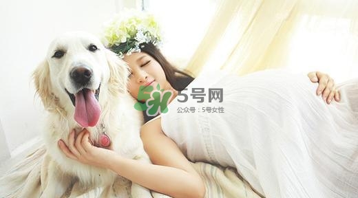 孕婦不能養(yǎng)寵物嗎？為什么孕婦不能養(yǎng)寵物？