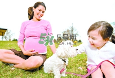 孕婦能養(yǎng)狗嗎？孕婦養(yǎng)狗注意事項