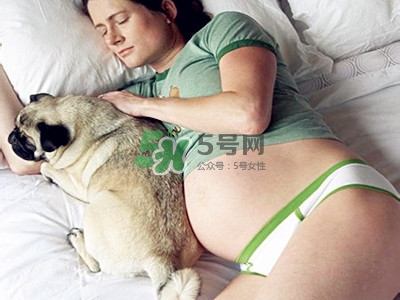 孕婦不能養(yǎng)寵物嗎？為什么孕婦不能養(yǎng)寵物？