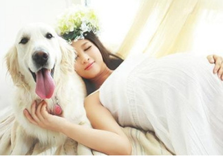 孕婦不能養(yǎng)寵物嗎？為什么孕婦不能養(yǎng)寵物？