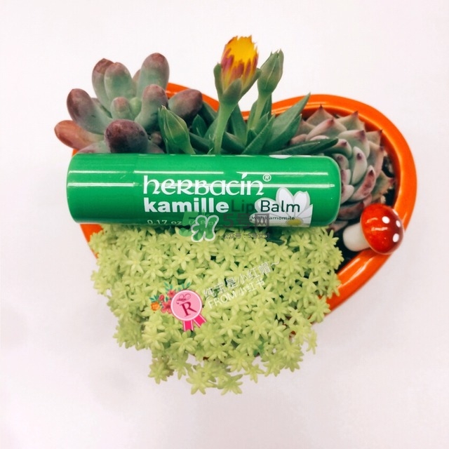 潤唇膏哪個(gè)牌子好 你想要的都在這里 潤唇膏哪個(gè)牌子好 你想要的都在這里